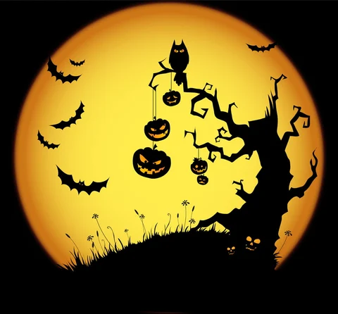 Evenimente Halloween Sighișoara