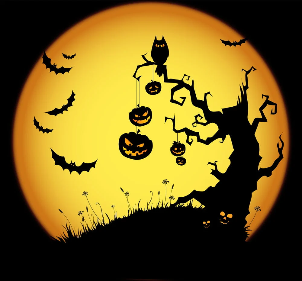 Evenimente Halloween Sighișoara