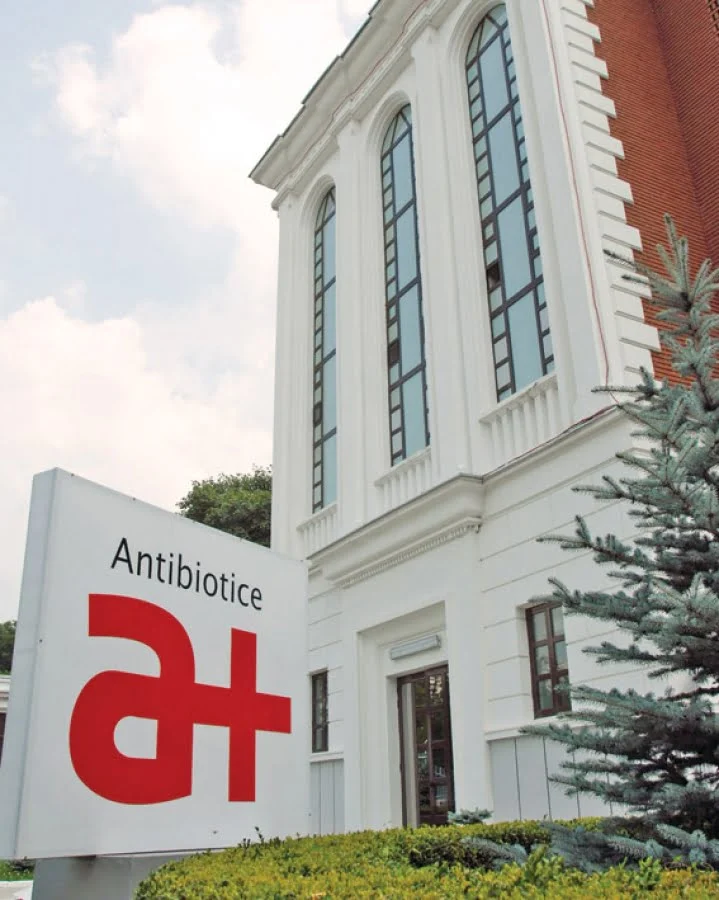 Rezultate financiare Antibiotice 2024