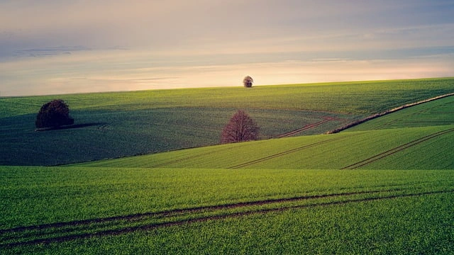 Piața terenurilor din România