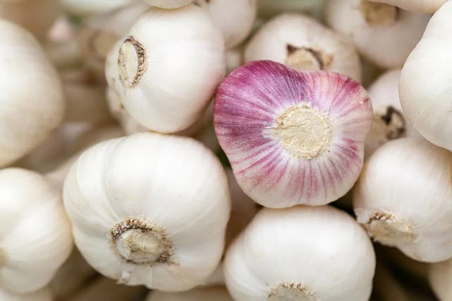 Program de sprijin cultivatori de usturoi 2026