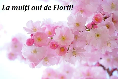 Mesaje de Florii pentru prieteni. Mesaje de Florii pentru familie. Felicitari de Florii pentru prieteni. Felicitari de Florii pentru familie