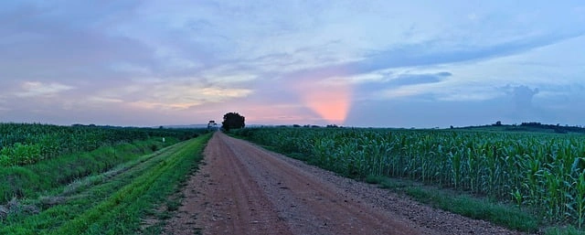 Cereri de plată pentru anul 2025