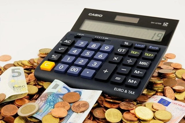 Evoluție curs euro-leu 2024.