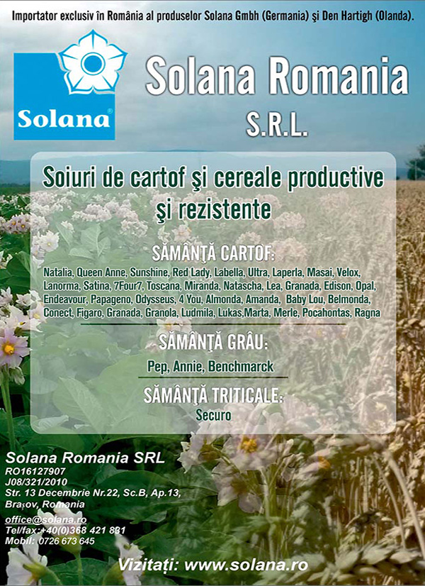 solana