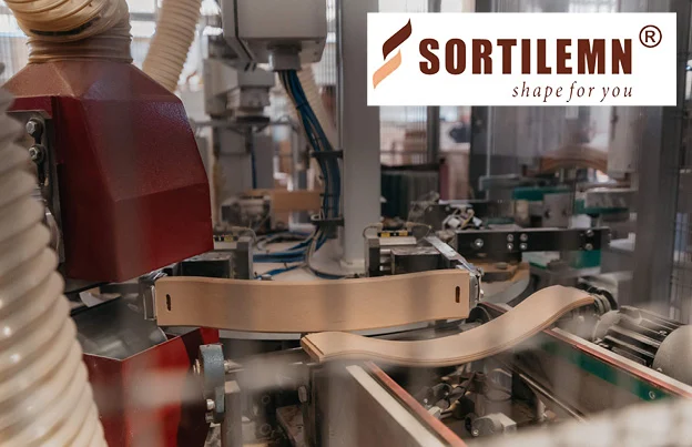 Sortilemn