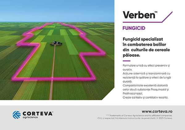 Verben