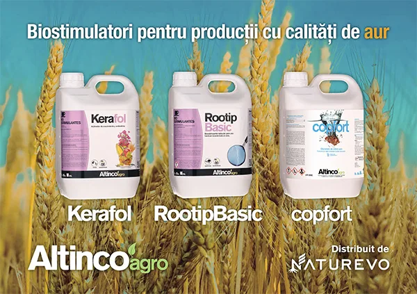Altinco