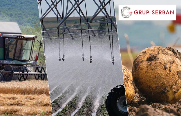Grup Șerban holding