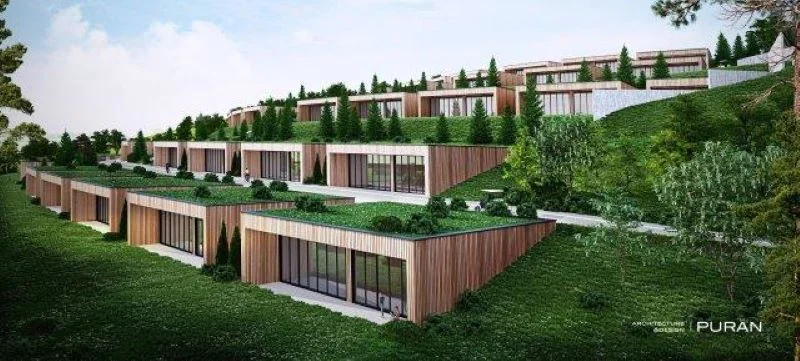 Importanța învățământului dual