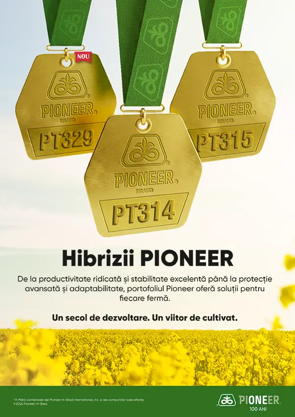 Pioneer