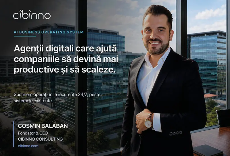 CIBINNO CONSULTING