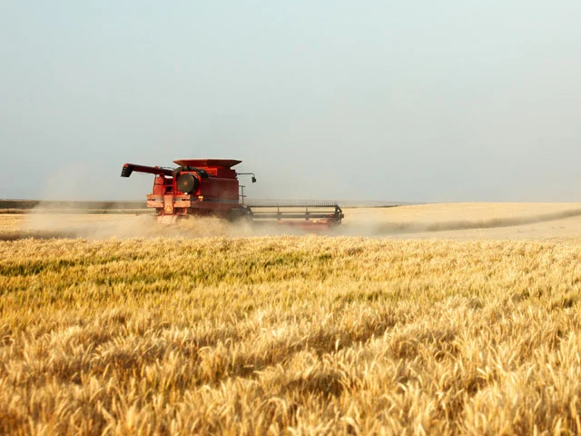 Corteva Agriscience