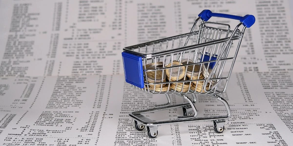 Economisire